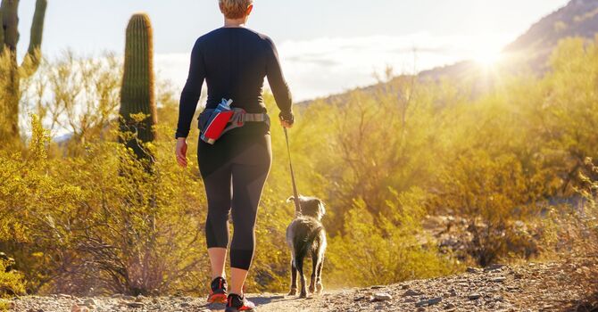 Price Adjustment for May 1st, 2025 image