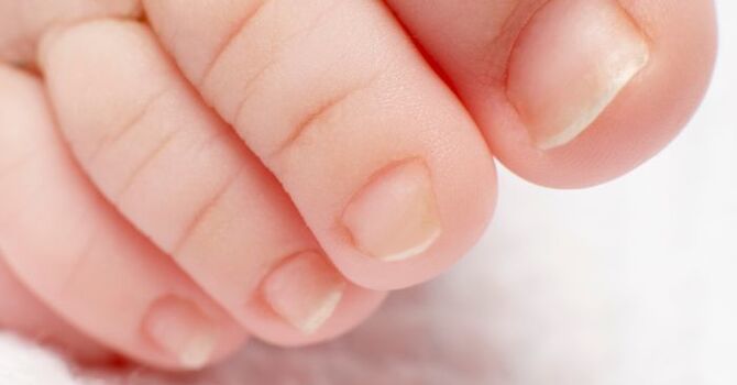 Toenail Reconstruction